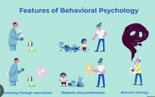 <p>Behavioral Perspective</p>