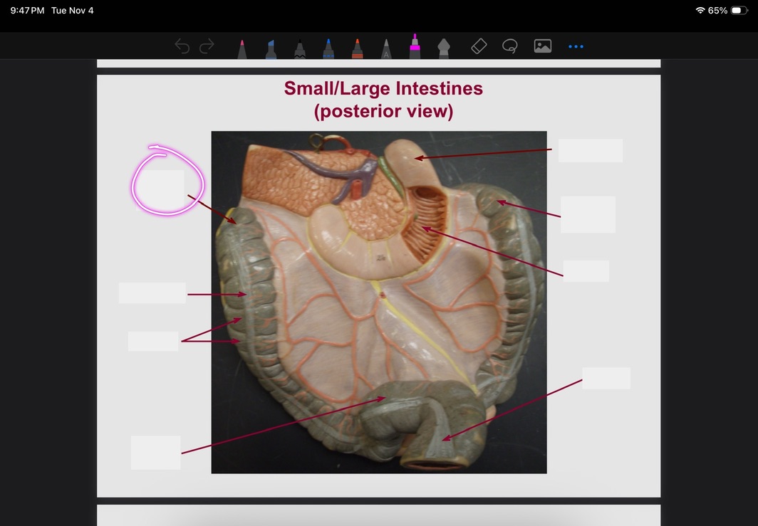 <p>What is this?</p>