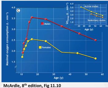 <ol><li><p>After 25 = decrease 1% per year</p></li><li><p>Ageing causes more rapid decline</p></li><li><p>Maybe confounded by disease</p></li></ol><p></p>