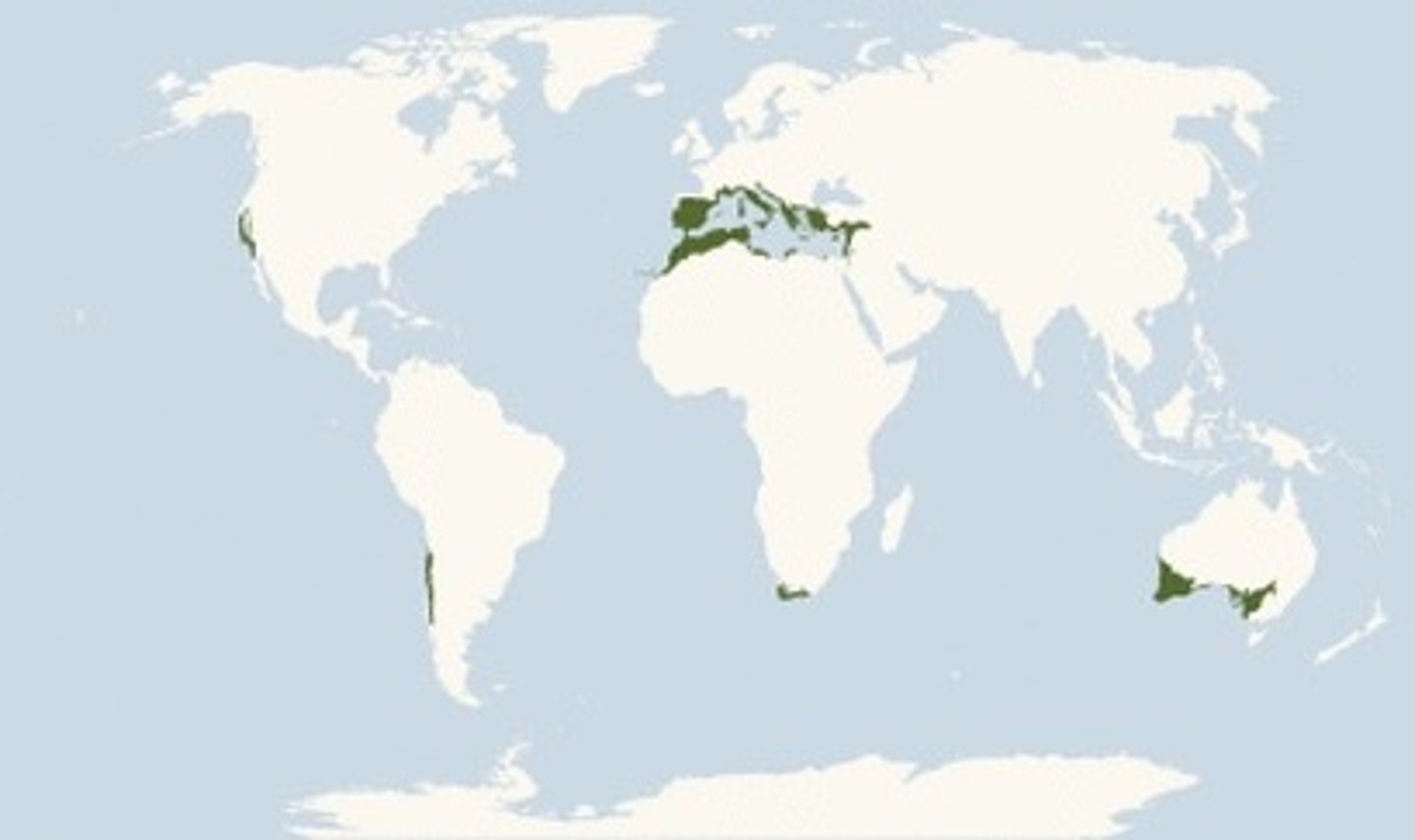 <p>argentina, cali, mediterranean (coastal)</p>