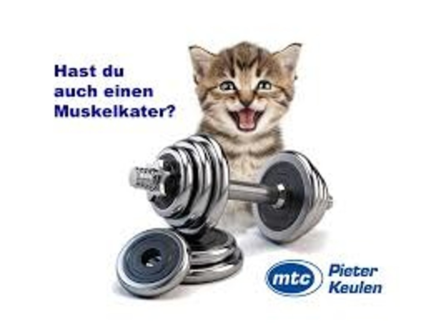 <p>muscle soreness, muscle ache, aching muscles, muscle fever</p>