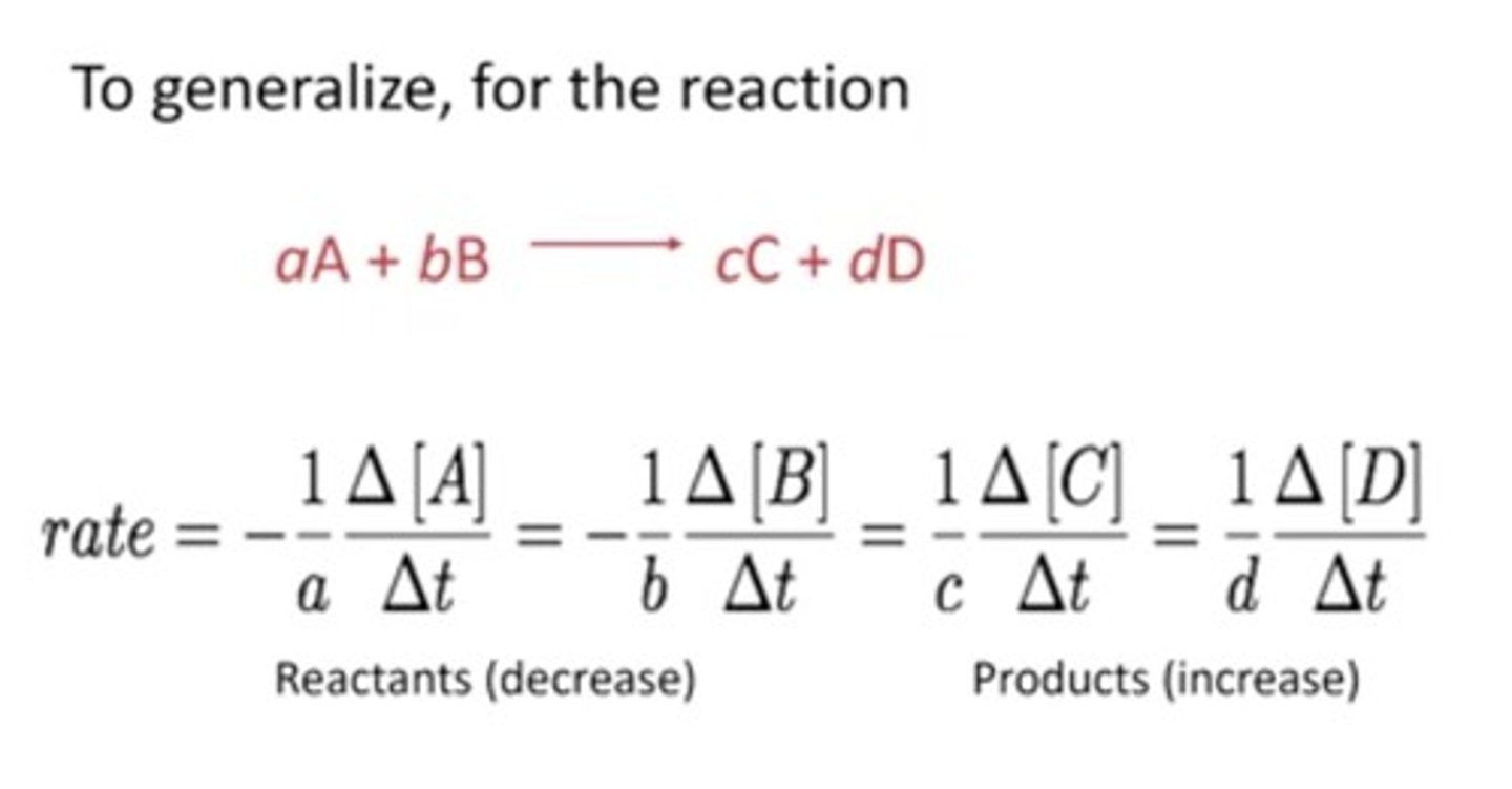 <p>The study of the rates of chemical reactions and the steps involved in the reaction process.</p>