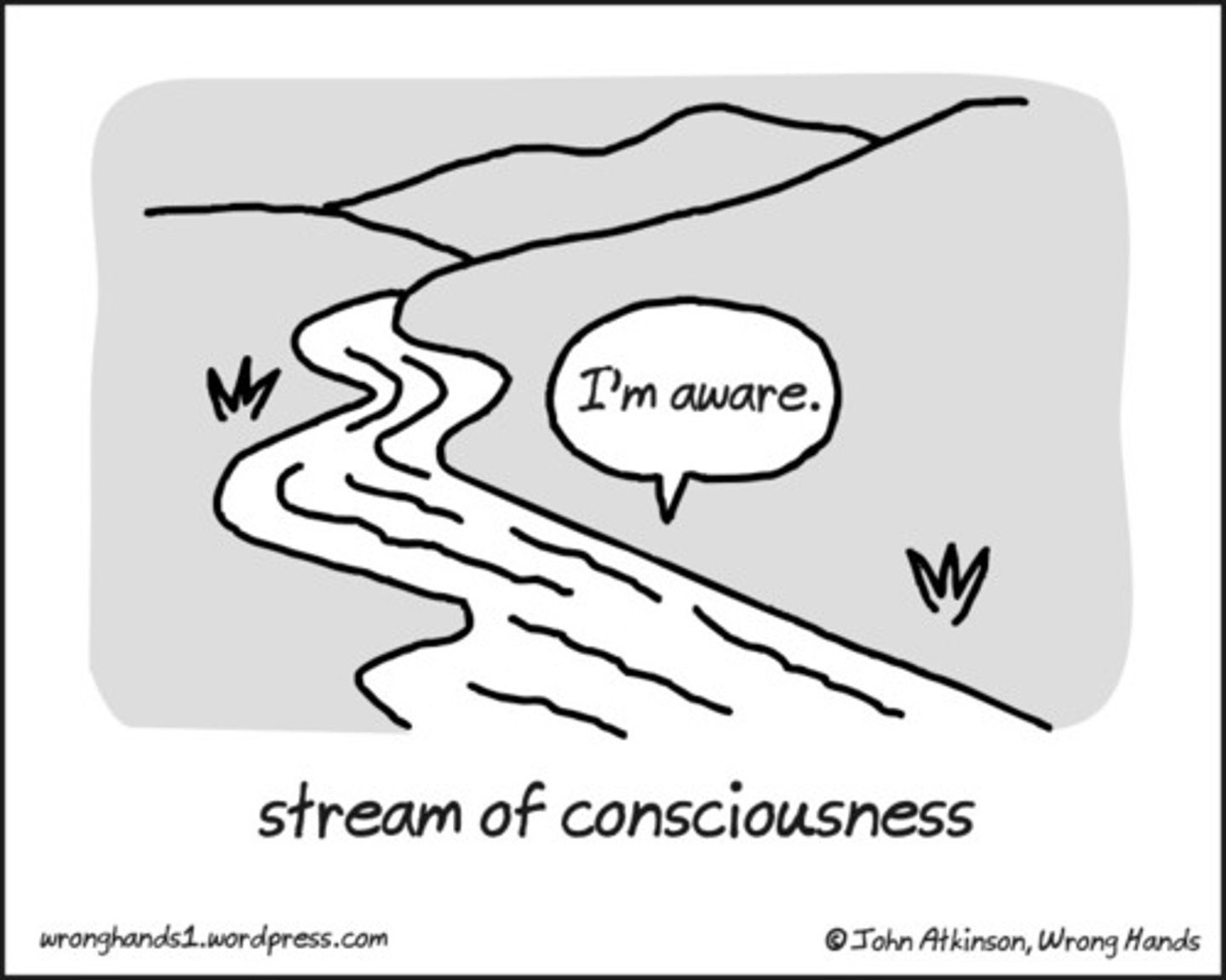 <p>a person's subjective experience of the world and the mind composed of our awareness to the outside world and wakefulness towards purposeful action</p>