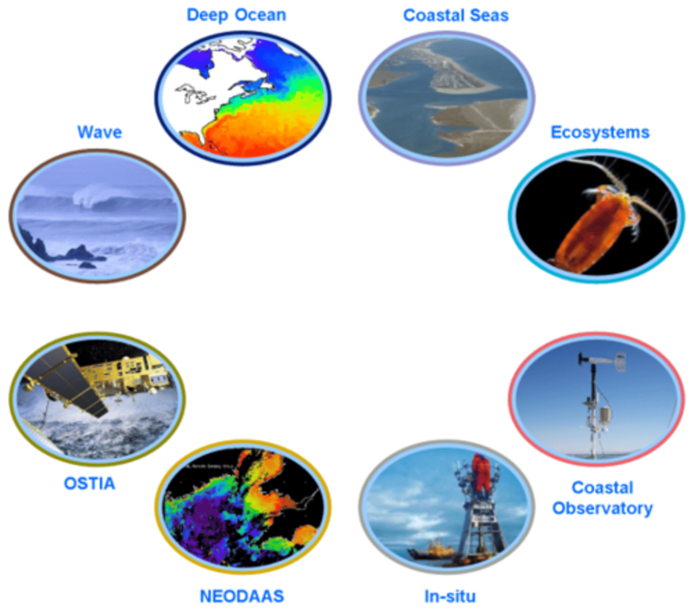 <p>The study of the chemical, physical, and biological aspects of the world's oceans.</p>