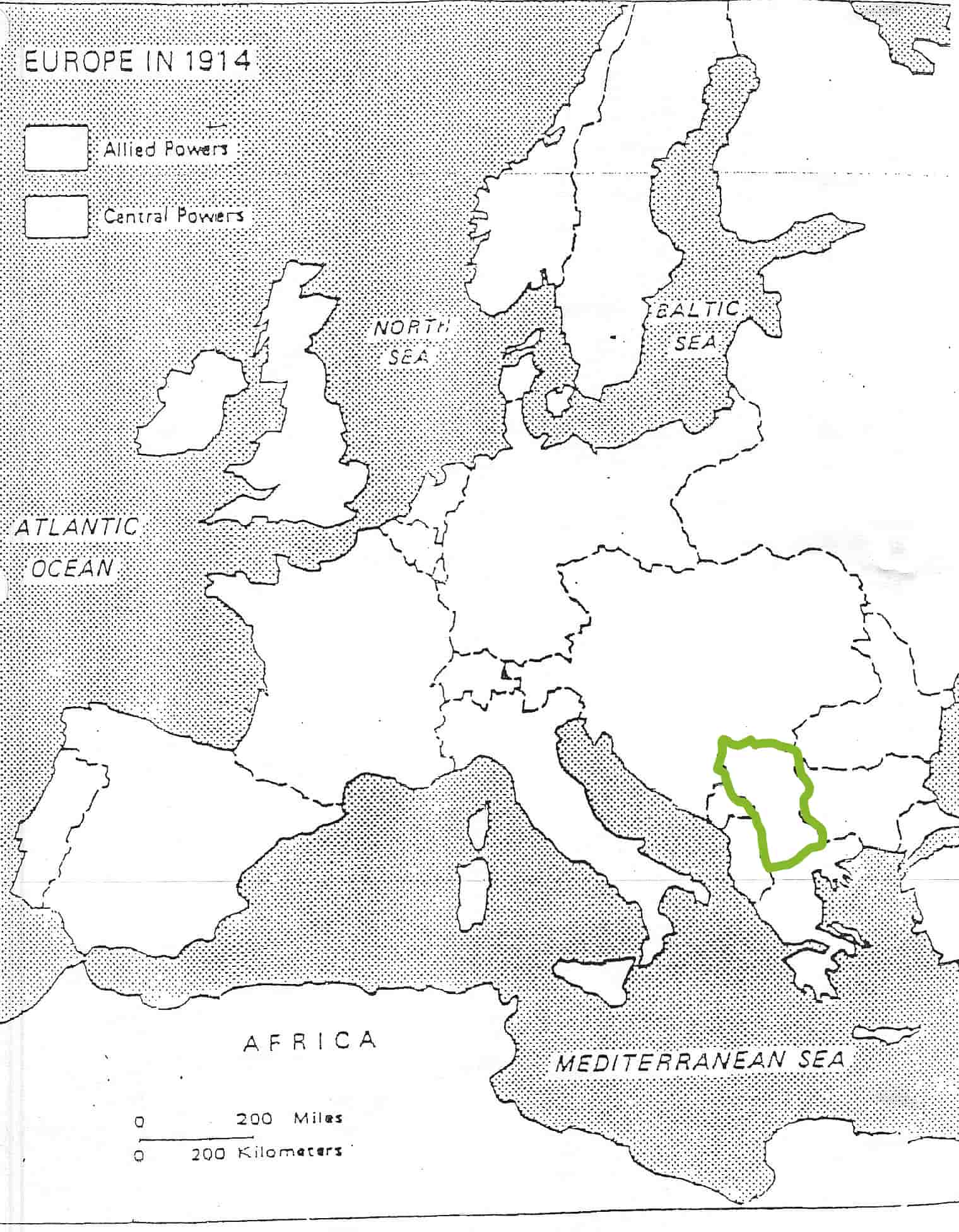 term image
