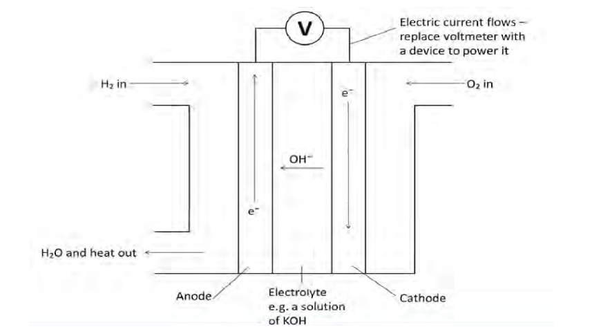 knowt flashcard image