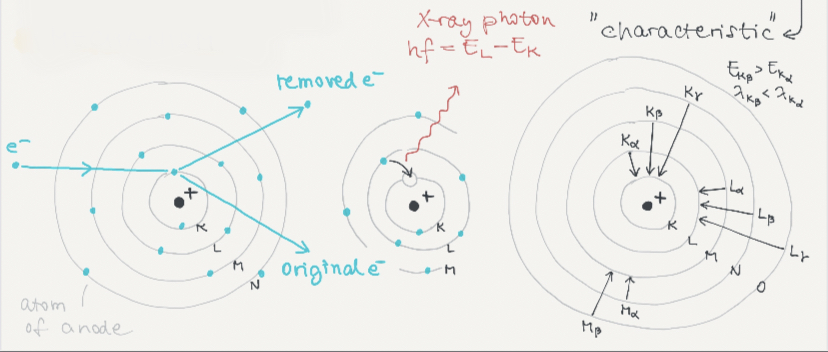 Mechanism of characteristic radiation