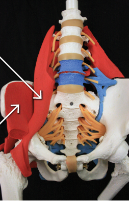 <p>bottom arrow</p>
