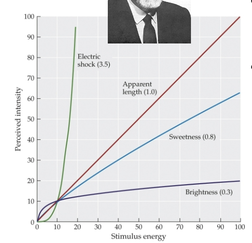 <p>Something twice as long looks twice as long.</p><p></p><p>Object twice as bright is perceived as being only a bit brighter.</p><p></p><p>Slightly more intense electric shock feels much stronger.</p>