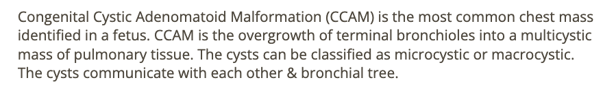 <p>b) congenital cystic adenomatoid malformation</p>