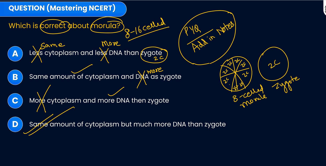 <p>false</p><p>same cytoplasm more dna</p>