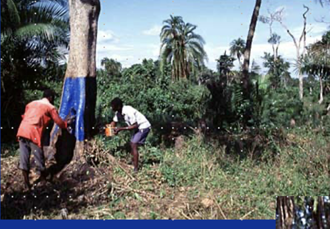 <p>Traps and Targets: What trap is this called?</p>