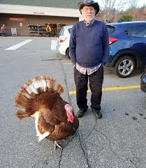 <p>turkey</p>