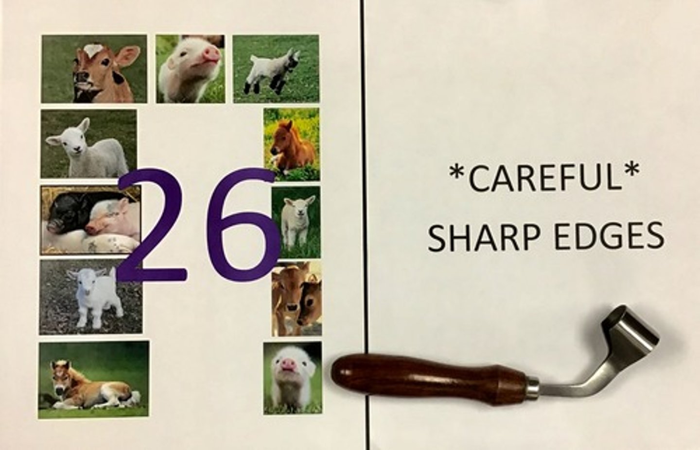 knowt flashcard image