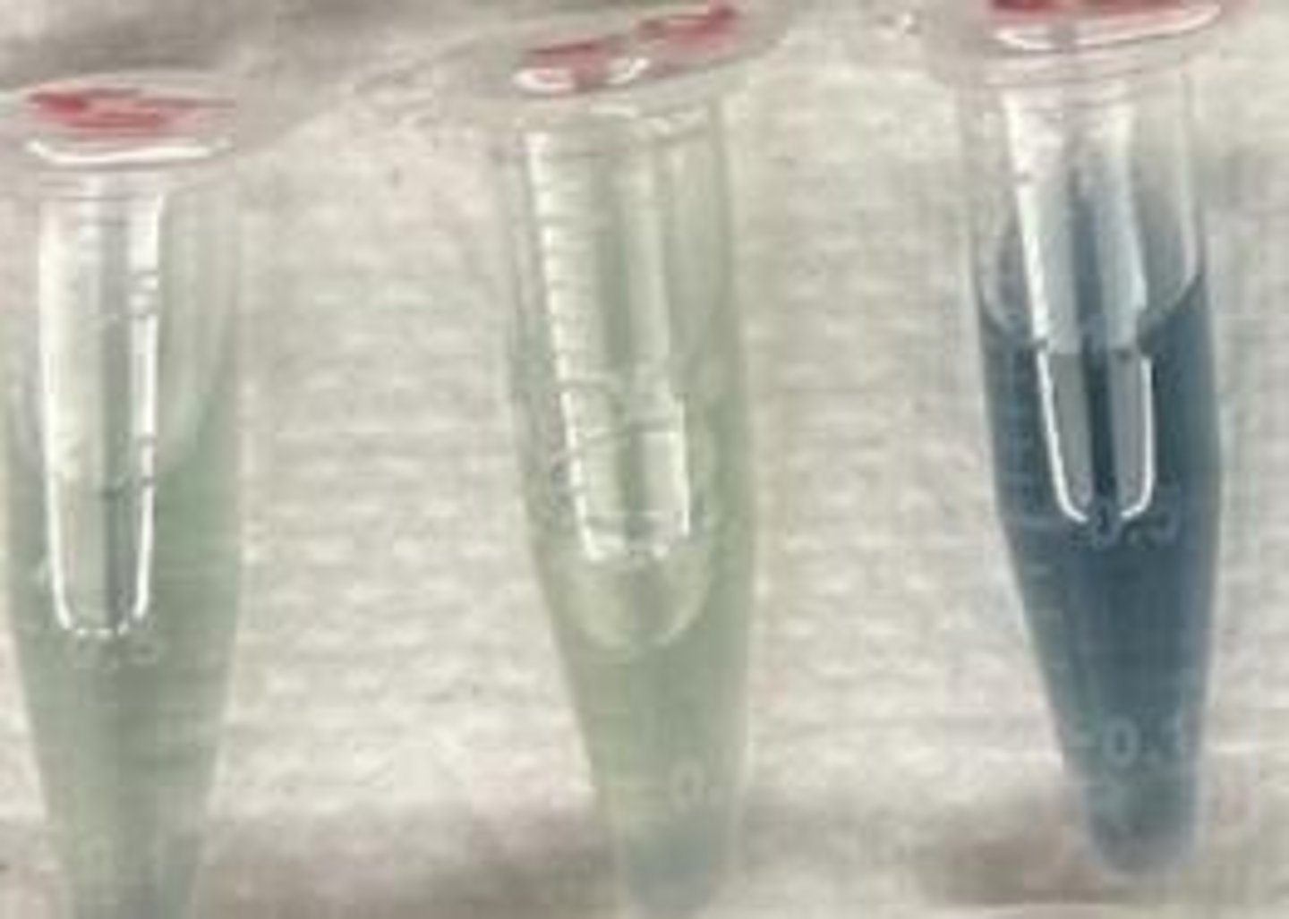 <p>The binding of Coomassie blue dye to proteins causes a shift in absorbance from 465 nm (red) to 595 nm (blue) in acidic solution.</p>