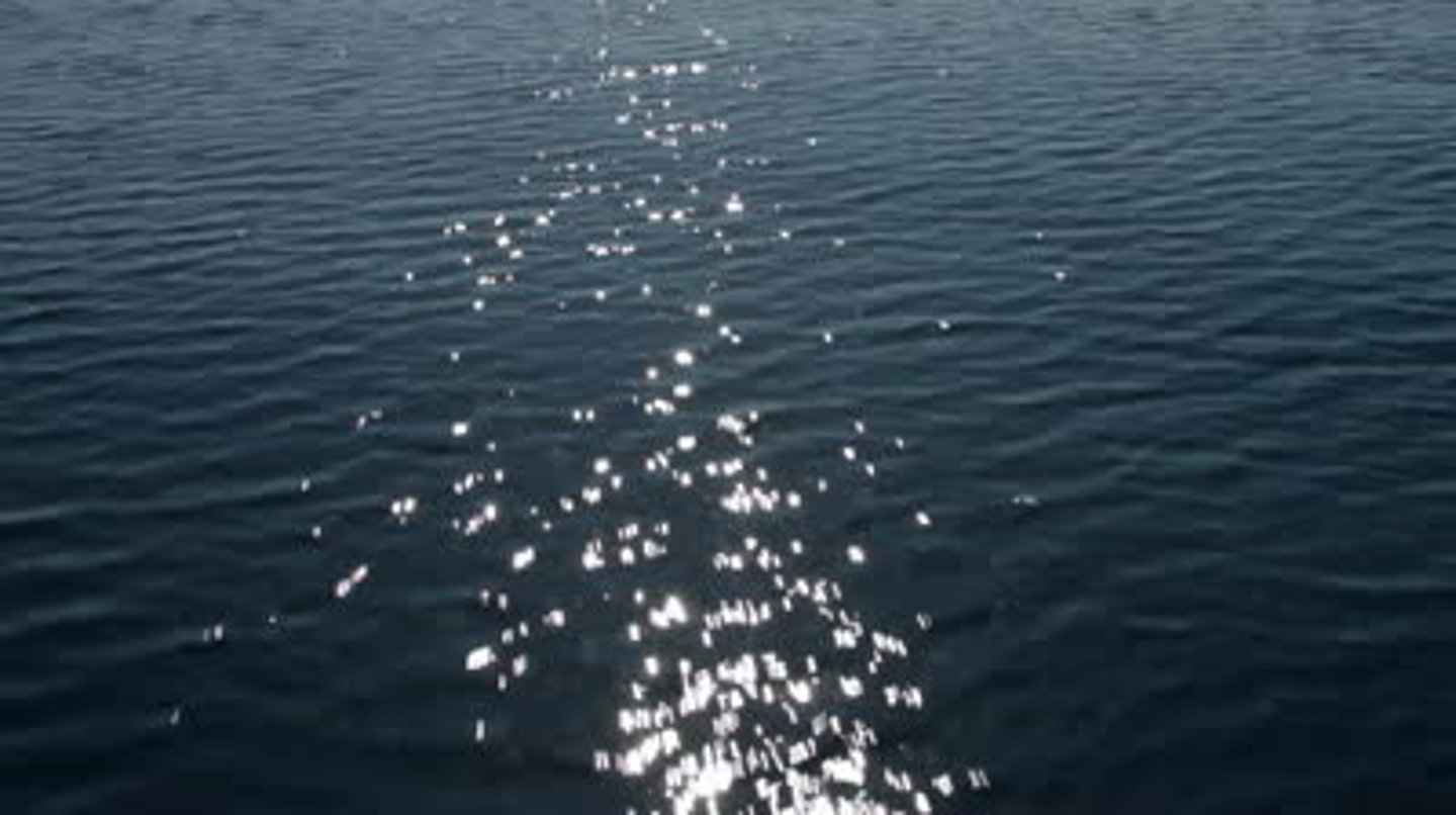 <p>Блискучий / Той, що зблискує</p><p>(Adjective) Giving out or reflecting small flashes of light.</p><p>I saw something ______ in the sand; it was a small piece of sea glass.</p><p>The knight's armor was ______ in the bright sunlight.</p><p>There was a mischievous, ______ look in his eyes.</p>