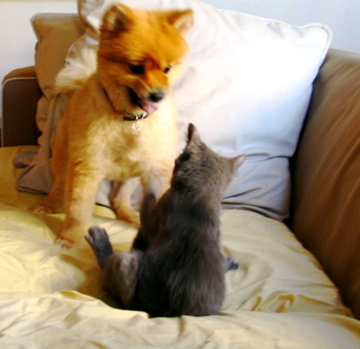 <p>Comparing two unlike things using words such as "like" or "as"</p><p>Example: The sisters fought like cats and dogs!</p>