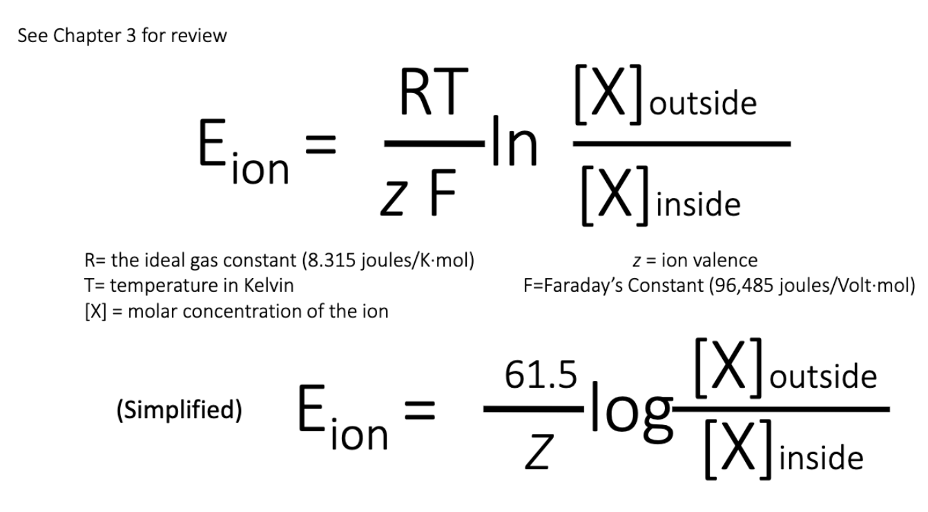 <p>Nernst Equation</p>