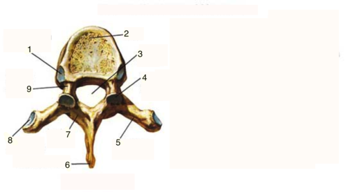 <p>9</p>