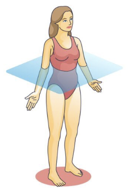 <p>What is this?</p>