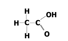 <p>Identify this structure </p>