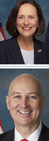 <p></p>