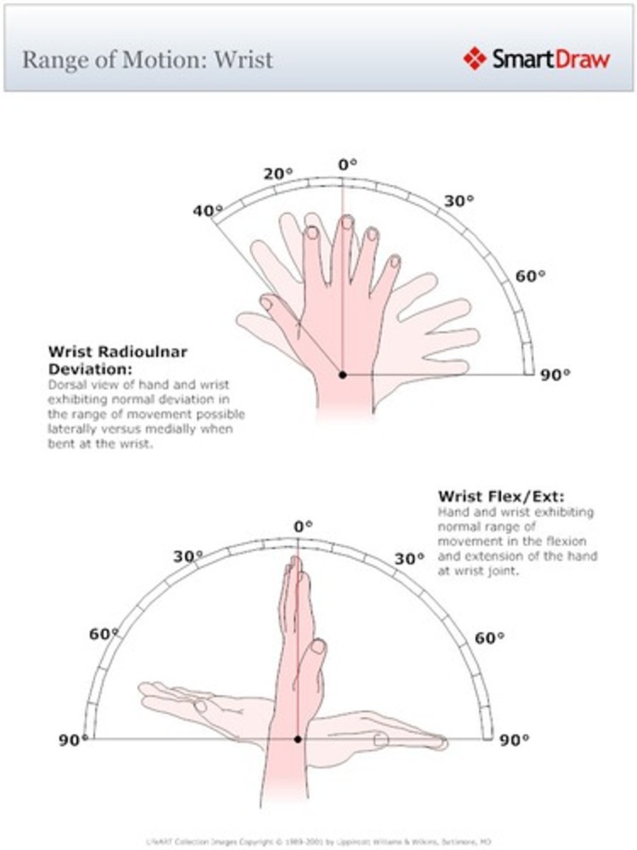 <p>the movement of a joint to the extent possible without causing pain</p>