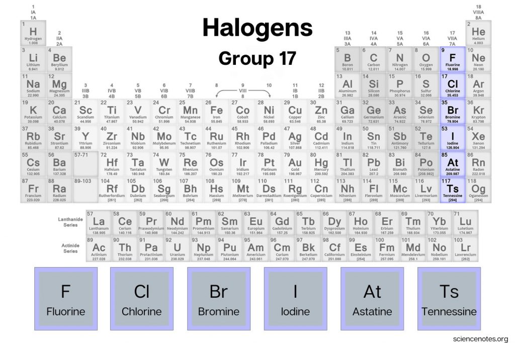 <p>what are some of the properties of halogens? (group 17)</p>