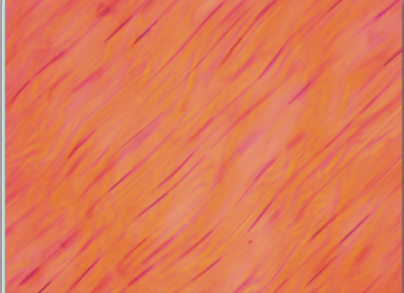 <p>forms tendons and ligaments; withstands great tensile strength from one direction</p>