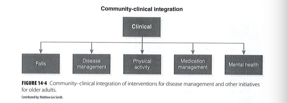 
1. Has clear and specific goals
2. Focuses on a particular sub-population of older adults 
3. Intervention is clearly defined
   * Duration, method of delivery
4. Outcome is measurable 

\
Interventions aiming on healthy aging should also consider feasibility at the population level 
