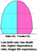 <ul><li><p>(late-industrial): low birth &amp; death rates</p><ul><li><p>Population size fluctuates due to economic conditions; slow growth</p></li></ul></li></ul>