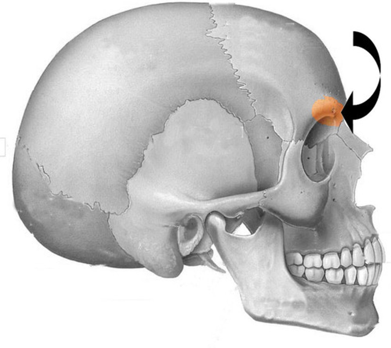 <p>...</p>