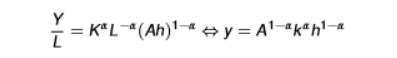 <ul><li><p>where y = Y/L (output per worker) </p></li><li><p>where k = K/L (physical capital per worker) </p></li></ul><p></p>