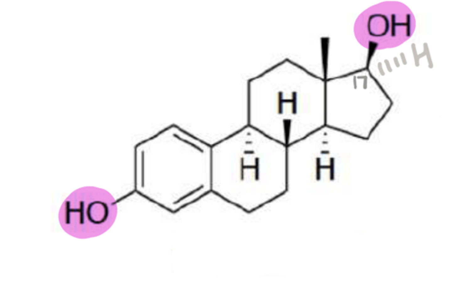 <p>What estrogen agonist has 2 alcohols and an alcohol at the 17 position?</p>