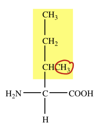 SEC-BUTYL R GROUP