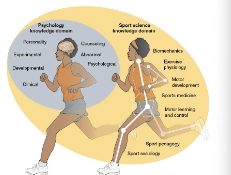 <p>Relationship of knowledge in the sport science <span>and psychology domains to the field of sport and exercise psychology</span></p>