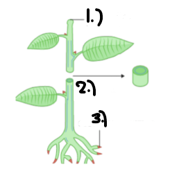 <p>What is no. 3</p>