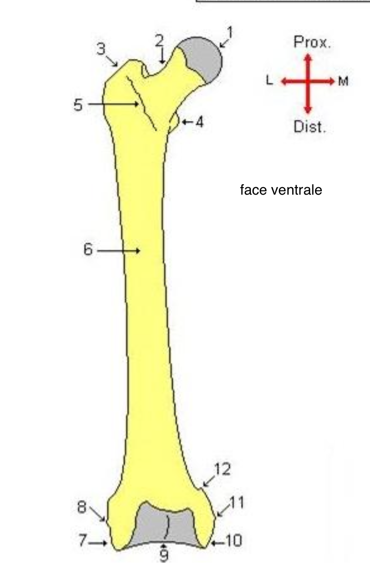 <p>2</p>