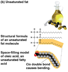 <p>Unsaturated fats</p>