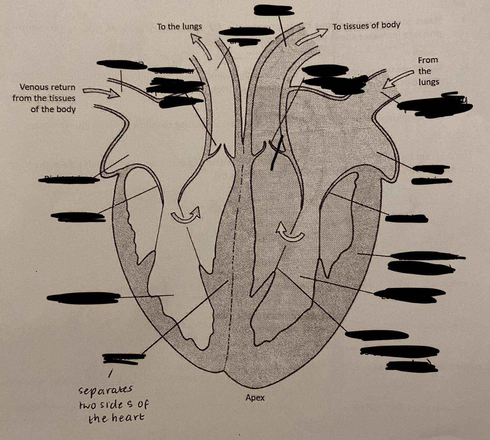 <p>label the diagram </p>