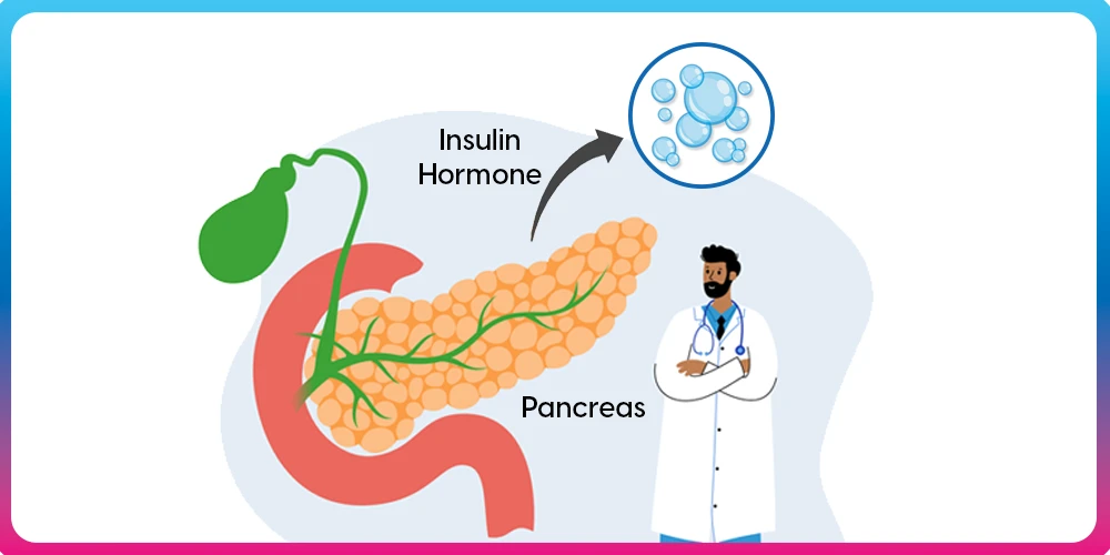 <p><strong>Insulin </strong></p>