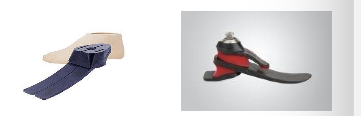 <p>-simulates ankle mvt. through entire length of foot w/ flexible inner keel and rubber foots heel</p><p>-lighter than multi-axial</p>