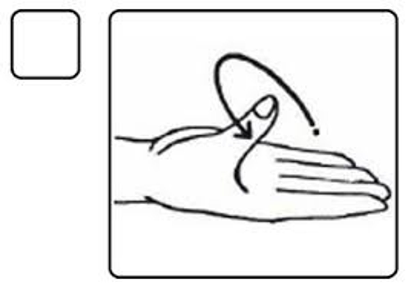 <p>Circumduction</p>