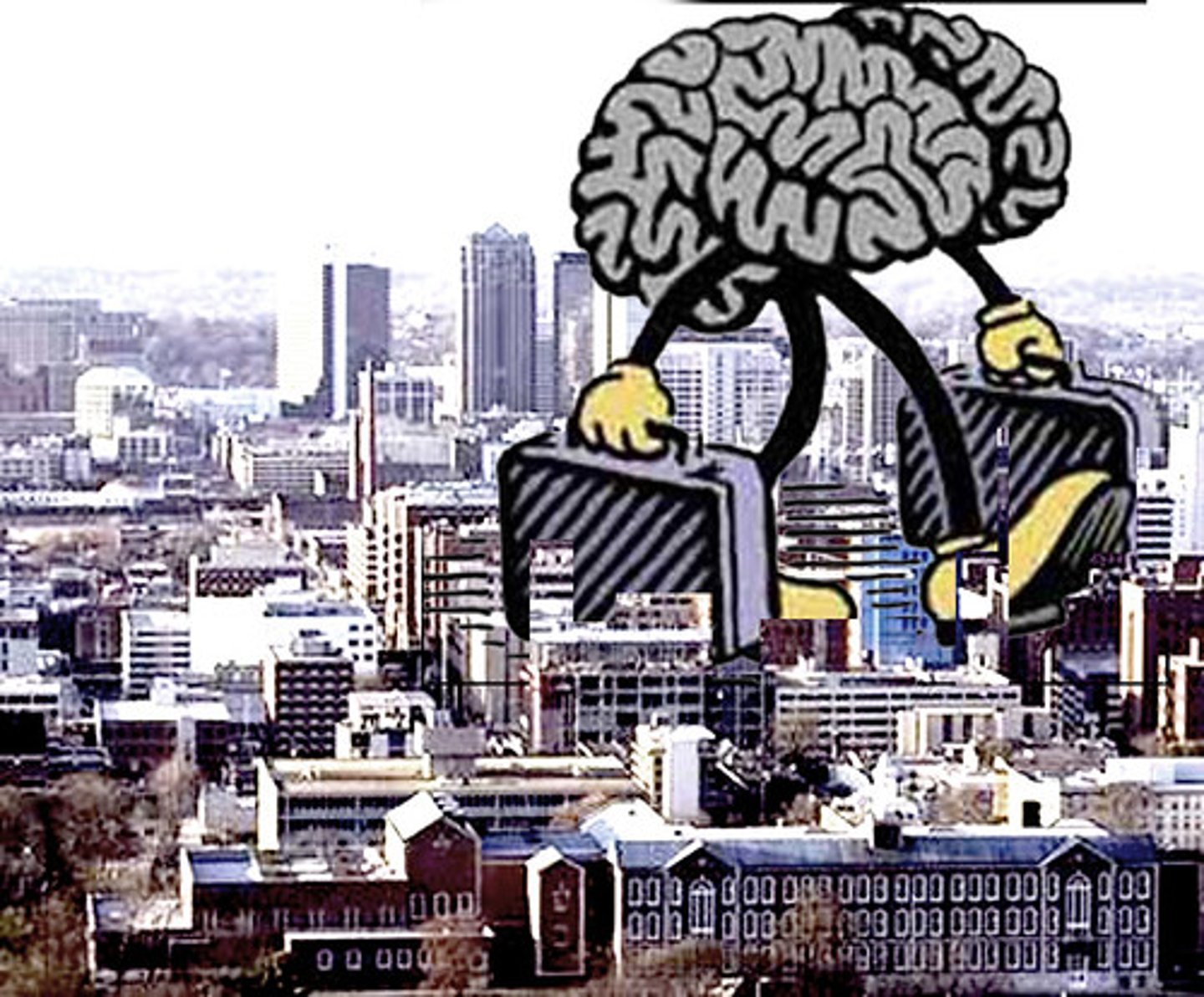 <p>The loss of highly educated and skilled workers to other countries due to brighter opportunities.</p>