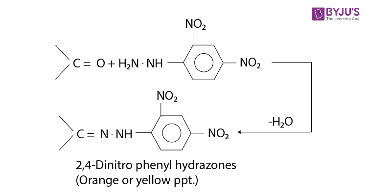 <ul><li><p>Test for carbonyl carbon</p></li><li><p>Orange precipitate is formed</p></li></ul>