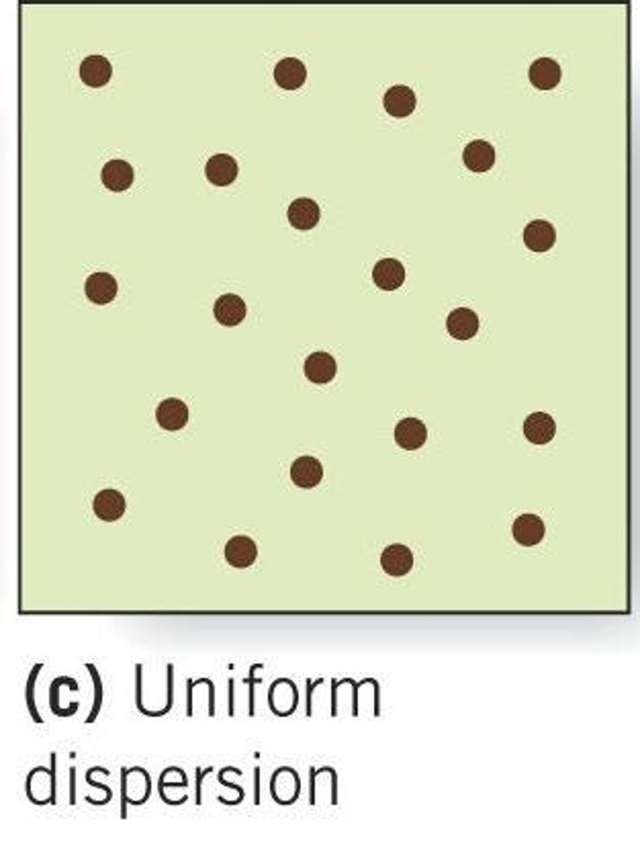 <p>Individuals are evenly spaced throughout the area.</p>