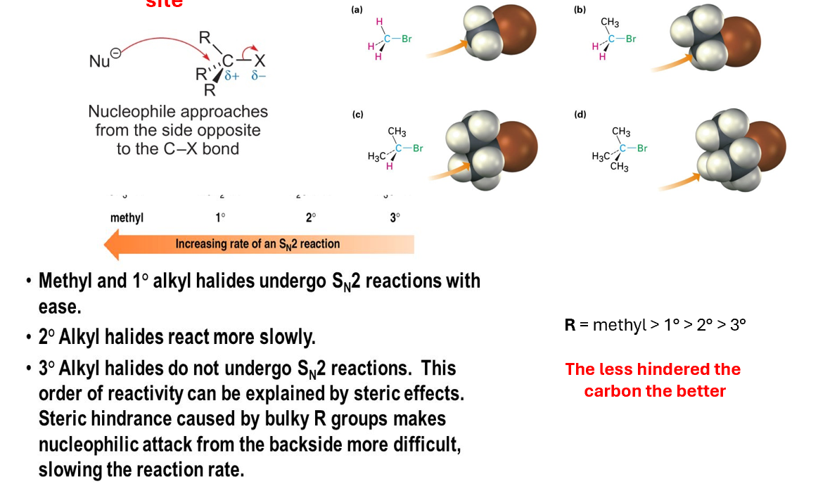<p>The reagent must not be hindered at the electrophilic site </p>