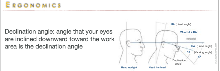 <p>angle that your eyes are inclined downward toward the work area is the declination angle</p>