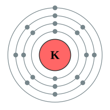 <p>K (19)</p>
