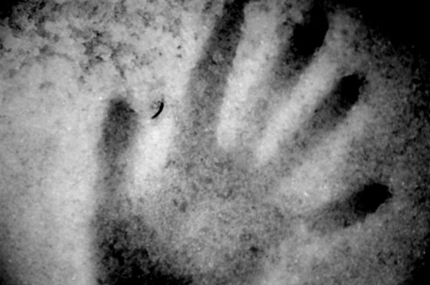 <p>Serbian nationalist/terrorist group responsible for the assassination of Austrian Archduke Franz Ferdinand which resulted in the start of World War I.</p>